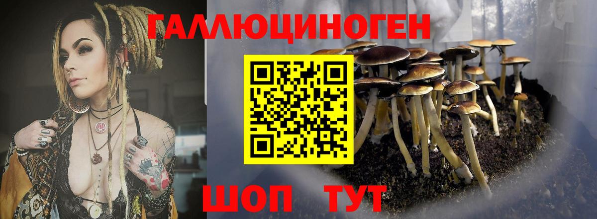 Галлюциногенные грибы Psilocybe  Вход с VPN  Таганрог  Псилоцибиновые грибы Psilocybine cubensis 
